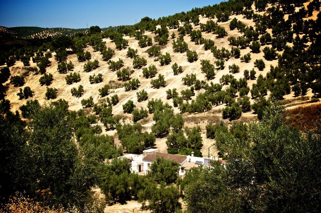 Valle De Oro Villanueva De Algaidas Exterior foto
